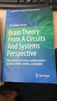Image of brain theory from a circuits and system perspective
