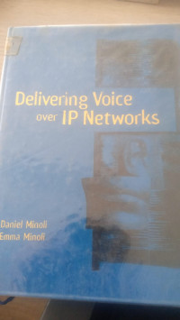 Delivering voice over ip networks