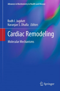 Image of Cardiac Remodeling Molecular Mechanisms