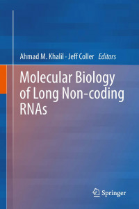 Image of Molecular BIology of Long Non-coding RNAs
