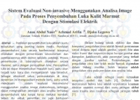 Sistem Evaluasi Non-invasive Menggunakan Analisa Image
Pada Proses Penyembuhan Luka Kulit Marmut

Dengan Stimulasi Elektrik