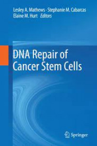 Image of DNA Repair of Cancer Stem Cells