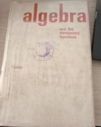 Algebra and the elementary functions