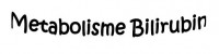 Image of Biokimia: Metabolisme Bilirubin