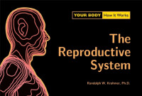 The
Reproductive
System