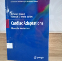 Image of Cardiac Adaptations