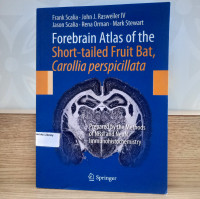 Image of Forebrain  Atllas of the Short-tailet Fruit Bat, Corollia perspicillata
