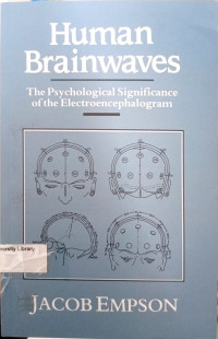 Image of Human Brainwaves