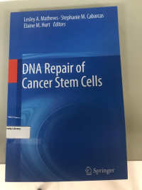 DNA Repair of Cancer Stem Cells