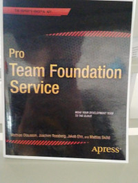 PRO TEAM FOUNDATION SERVICE