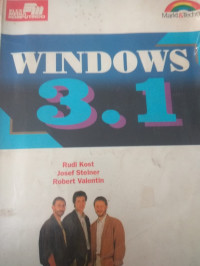 Image of WINDOWS 3.1