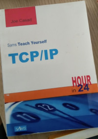 SAMS TEACH YOURSELF TCP/IP IN 24 HOURS